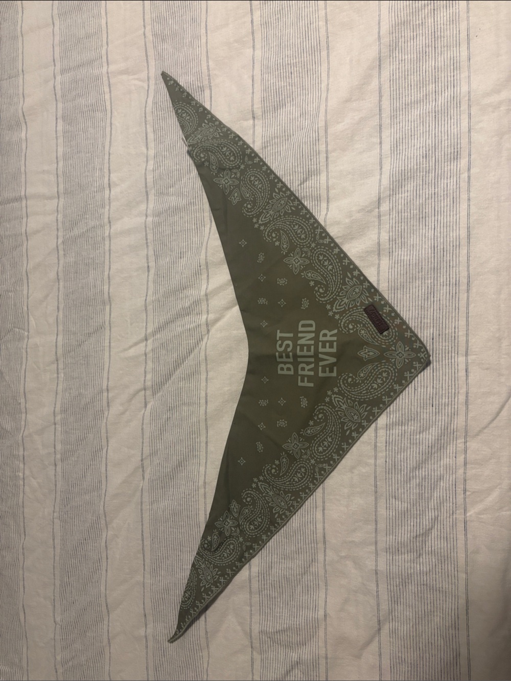 Men's Olive Green Bandana Scarf - Best Friend Ever